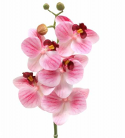 Emix Garden Vještačka biljka Orhideja pink 64cm