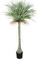 Emix Garden Vještačka biljka Yucca 180cm